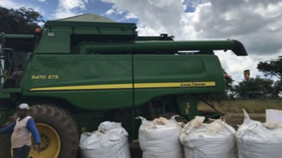 Fazenda Mutuca – Feijão Carioca