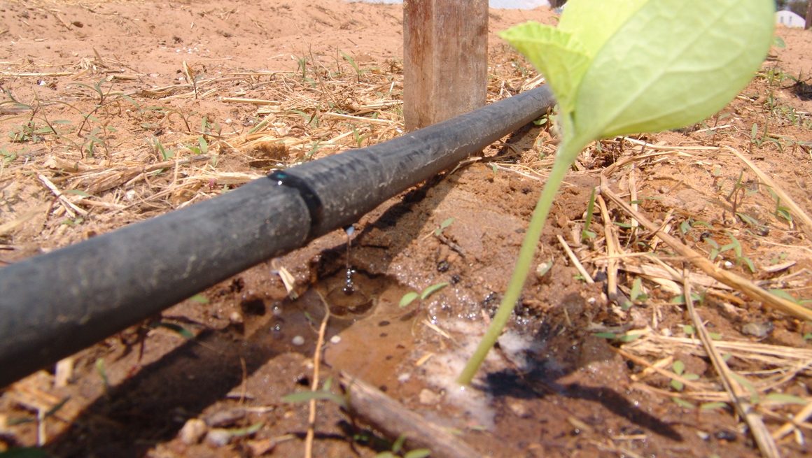 Irrigação