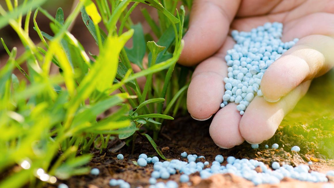 Fertilizantes