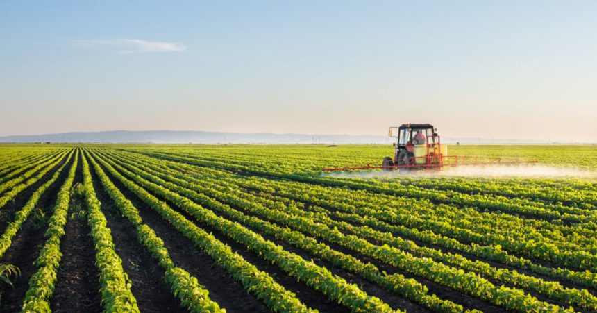 Evolução da agricultura e suas técnicas