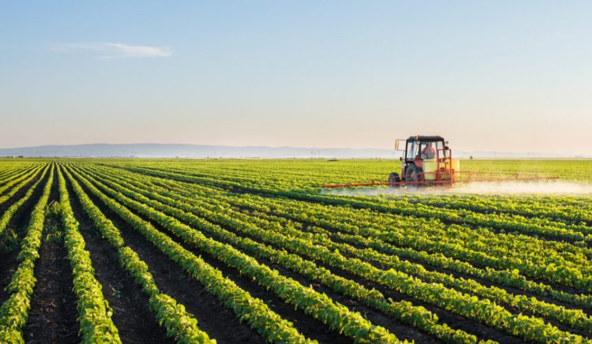 Evolução da agricultura e suas técnicas