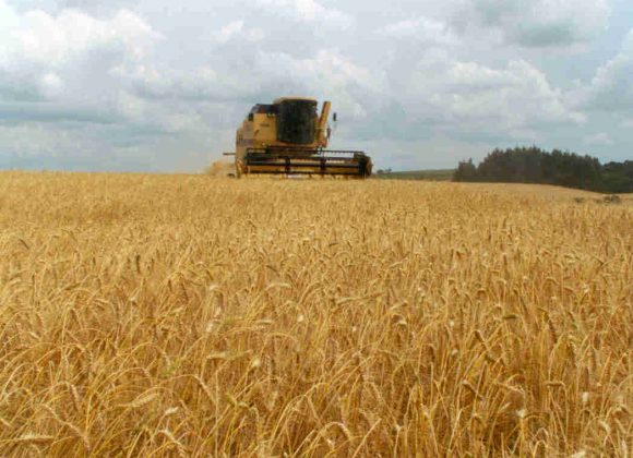 6 coisas que você precisa saber sobre a agricultura brasileira