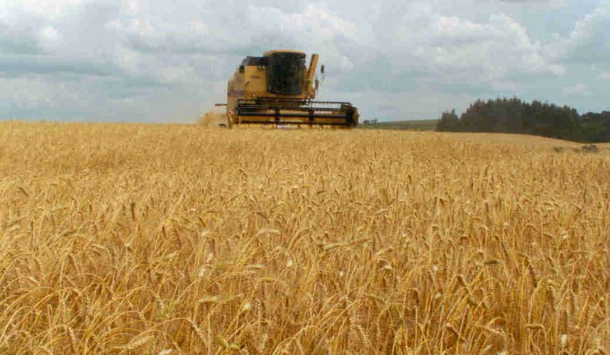 6 coisas que você precisa saber sobre a agricultura brasileira