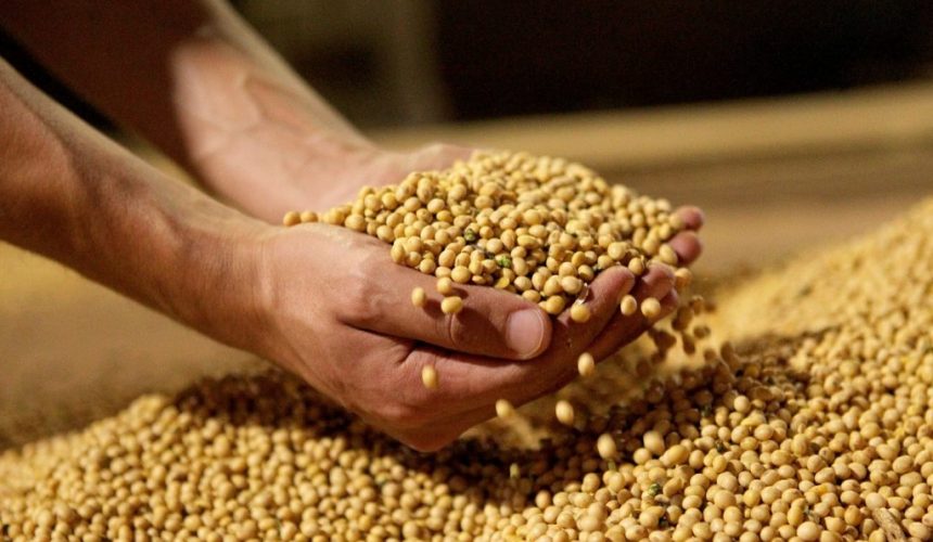 Brasil vai ultrapassar EUA como 3º maior fornecedor de soja do mundo, diz FAO