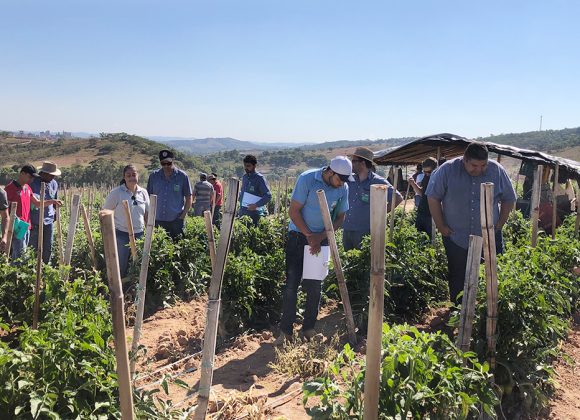 Acero realiza treinamento inovador para clientes.