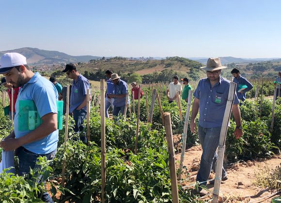 Acero realiza treinamento inovador para clientes.