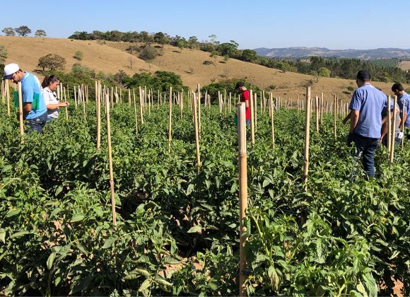 Acero realiza treinamento inovador para clientes.