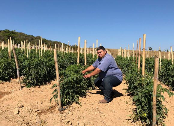 Acero realiza treinamento inovador para clientes.