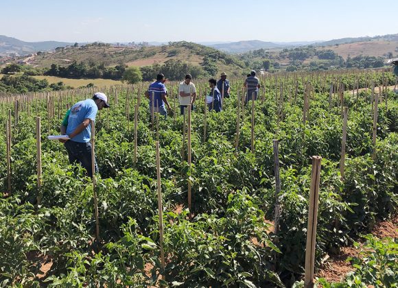 Acero realiza treinamento inovador para clientes.