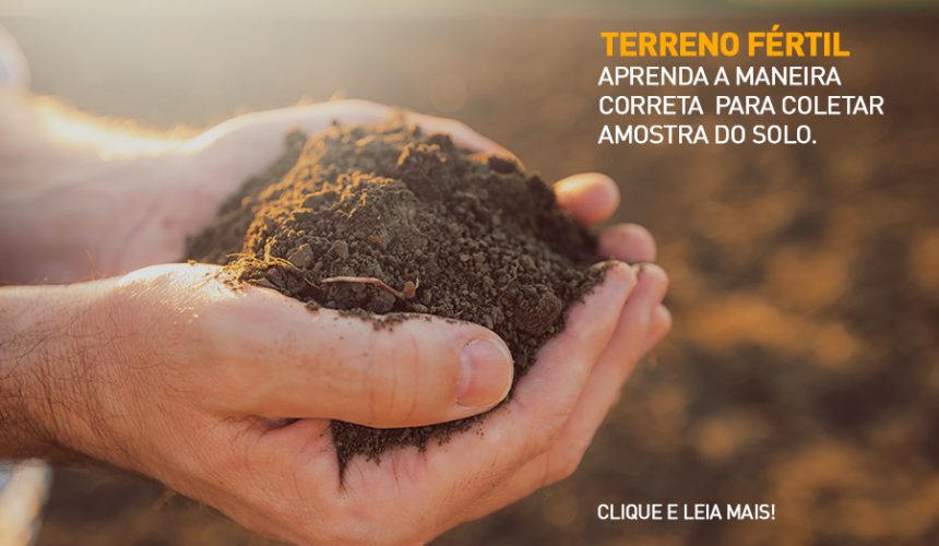 post-amostra-de-terra Análise do solo: faça a coleta de forma adequada em 4 passos