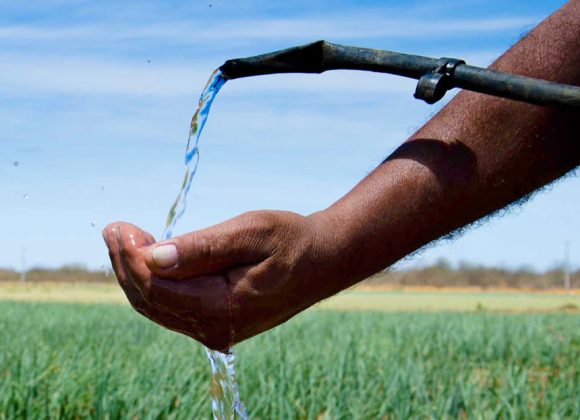 Água de reúso na irrigação. Já pensou nisso?