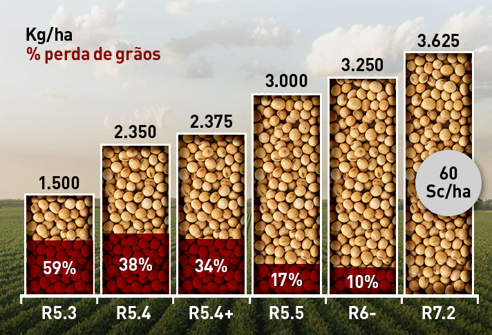 Gráfico Dessecação de Soja